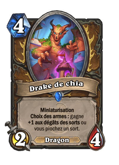 Drake de chia