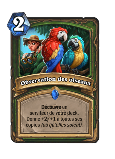 Observation des oiseaux