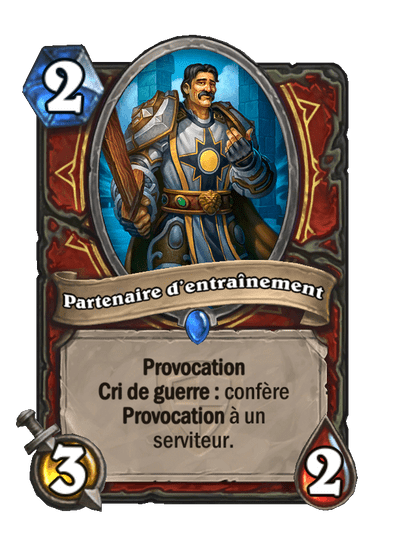 Partenaire d’entraînement