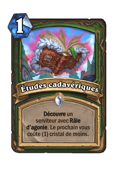 Études cadavériques