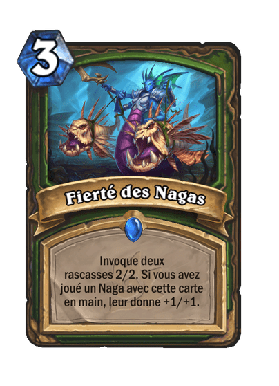 Fierté des Nagas