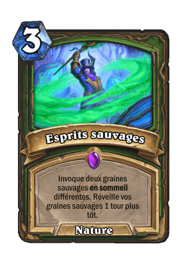 Esprits sauvages